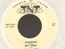 RAY CAMPI-7