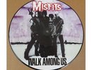 The Misfits Walk Among Us 12