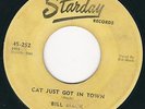 TX Rockabilly Bill Mack STARDAY 252 ( ? ) Cat just got in town / Sweet dreams