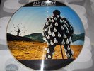 PINK FLOYD - DELICATE SOUND OF THUNDER - LP PICTURE DISC - BRAZIL - 