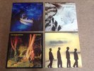Echo and The Bunnymen Original Vinyl