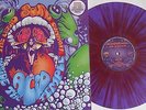 LP LIQUID SOUND COMPANY Inside The Acid Temple (Re) COLORED 300 copies NASONI 18