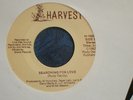 Modern Soul 45 - Rudy Dardy - 