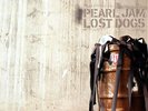 Pearl Jam - LOST DOGS - 3 LP