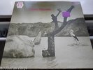 TONTON MACOUTE - 1st UK Press 1971 RCA NEON (Warhorse, Spring, Vertigo Swirl NM)