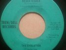 Rare Garage Psych 45 The Evolution 