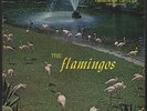 FLAMINGOS  ORIGINAL CKECKER LP 1433 VG+