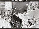 BLEACH [Vinyl] Vinyl