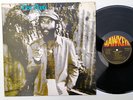 Desi Roots - Doing It Right - rare 1980 uk LP Roots Reggae Hawkeye HLP 007