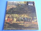 LP ITALIAN PROG MERRY GO ROUND - STANDARTE - MERRY GO ROUND