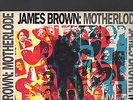 JAMES BROWN - motherlode LP