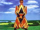 Earthling - David Bowie (2013, Vinyl New)