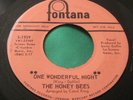 Northern Soul 45 : The Honey Bees   She Don't Deserve You   Fontana 1939 Promo