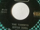 NORTHERN SOUL TITTYSHAKER 45/ THE TAMMYS 