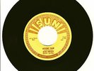 MYSTERY TRAIN ELVIS PRESLEY RARE SUN LABEL 45 RPM # 223 VERY RARE ISSUE