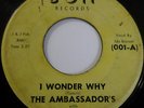 The Ambassadors 45 I Wonder Why Bon Northern Soul Hear It