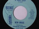 NEW IMAGE W/ CHARLES RUSSELL: It Ain't Easy / I Rode Too High 45 rare Soul