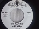 BILL BUSH - I'm Waiting.