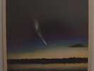 Weather Report/Mysterious Traveller/Columbia/PC32494/NM