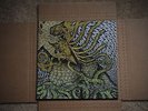 Circle Takes the Square CTTS As the Roots Undo LP Vinyl Screamo RARE FIRST PRESS
