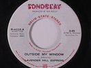 LAVENDER HILL EXPRESS: Outside My Window / Same 45 (mono-stereo) rare Rock & Po