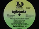 CYBONIX Cybonix In Effect D BASS 12