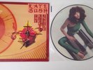 Kate Bush - The Kick Inside - 1978 Vinyl LP PICTURE DISK