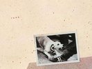 FLEETWOOD MAC**TUSK**2 VINYL SET