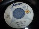 RARE 60s MICHIGAN GARAGE PUNK JUJUS YOU TREAT ME BAD HEY LITTLE GIRL FENTON 45