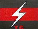 Experimental/Industrial THROBBING GRISTLE The Second Annual Report LP RE FETISH