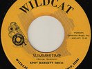 SPOT BARNETT Summertime/Boney Shuffle RARE TX MOD R&B POPCORN 45 *hear*