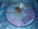 NIRVANA LP Nevermind MEXICAN Picture Disc Limited Edition MEXICO RARE GEF 24425P
