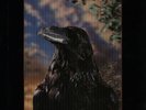 Stranglers The Raven - 3-D Sleeve - EX vinyl LP album record UK UAG30262