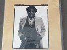 MUDDY WATERS HARD AGAIN RECORD LP Blue Sky 180 Gram SEALED