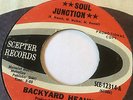 FUNK SOUL PROMO 45/ BACKYARD HEAVIES 