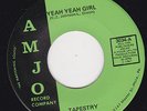 GROUP SOUL 45 RPM - TAPESTRY on AMJO RECORDS