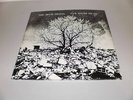 THE BEVIS FROND - NEW RIVER HEAD -2 LP- GATEFOLD - MINT