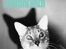 Jawbreaker Unfun ORANGE SHERBERT VINYL LP Record jets to brazil/forgetters  NEW