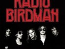 Radio's Appear (Trafalgar Version) - Radio Birdman (2014, Vinyl NEW)