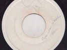 '72 JOE GIBBS TEMPTATIONS REGGAE COVER 45 PAPA WAS A ROLLING STONE PIONEERS ?