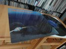 LIGHT OF DARKNESS SAME LP 1970 MINT MEGA KRAUTROCK MONSTER