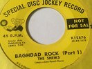 TITTYSHAKER PROMO 45/ THE SHEIKS 