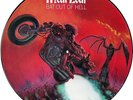 MEATLOAF BAT OUT OF HELL LP PICTURE PIC DISC