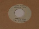 THE CITATIONS  Panda Bear  45  Rocker  Preview Copy
