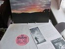 BLUE ORCHIDS - THE GREATEST HIT (MONEY MOUNTAIN). 1982 ROUGH TRADE LP & INSERT