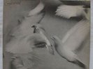 Donald Byrd - Free Form LP - Blue Note - BLP 4118 Mono RVG NY USA