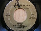 BROTHERS AQUARIUS   unity AIDQUEEN  soul RARE 45