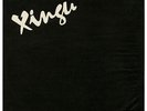 RARE XINGU, CHILEAN PSYCH FUNK FROM 1973, NM