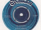 Black Abbots - The painter/ Love is alive (Evolution UK 1971)