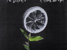 THE DISTRICTS - A flourish and a spoil LP inkl. MP3 NEU+OVP